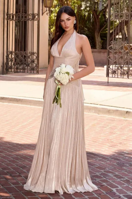 Vestido Champagne