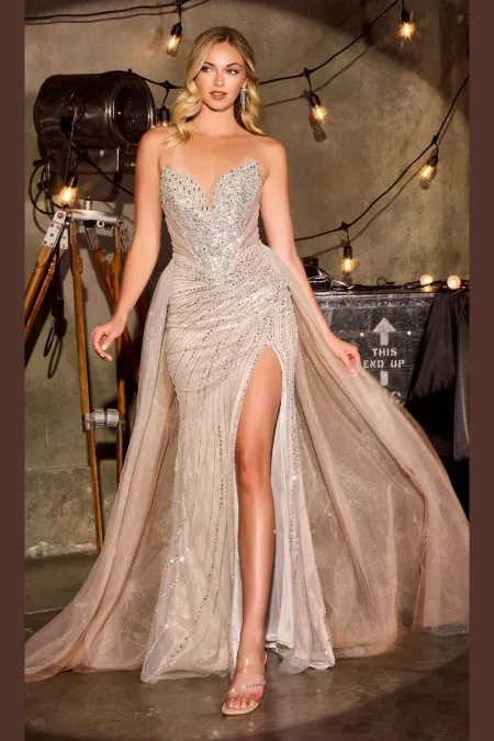 Vestido Plateado